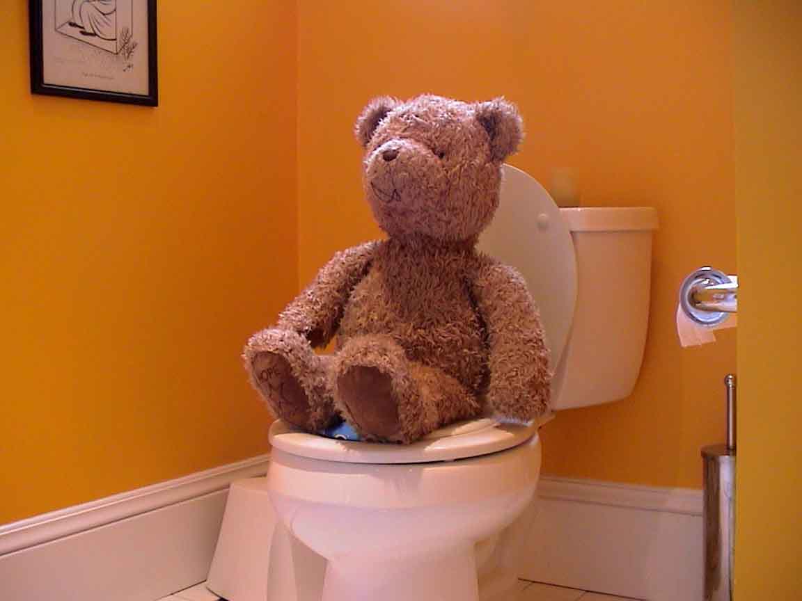 September 2005
Toilet bear
