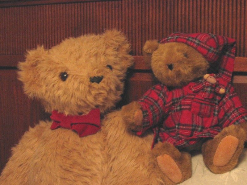 January 2005
A bear with a small friend
