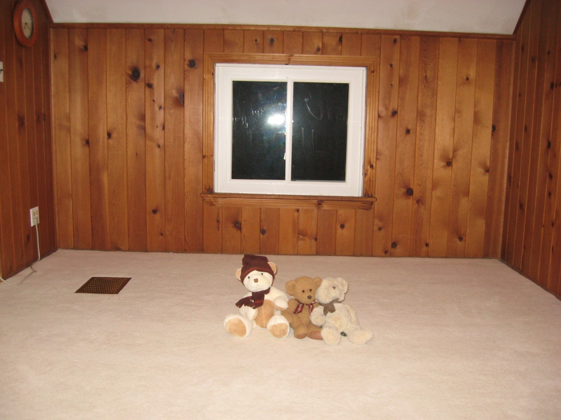 January 2009
Three bears enjoying a new carpet
