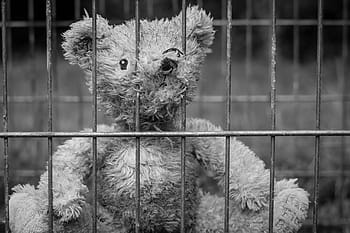 teddy-bear-lost-childhood-royalty-free-thumbnail.jpg