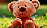 Teddy-bears-picnic-653x398.jpg