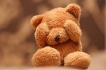 bear-bokeh-cute-girl-sweet-teddy-bear-favim-com-39121_large~0.jpg