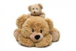 teddy_bears_01_hd_picture_168438.jpg